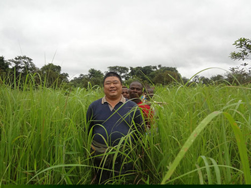 總經(jīng)理-非洲考察